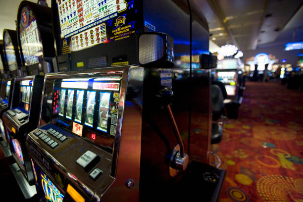camar444 Live Casino